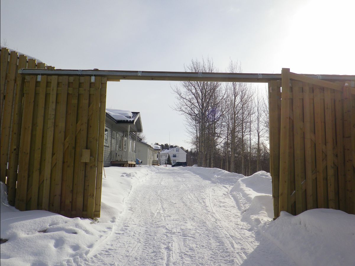 Dogs sledge10